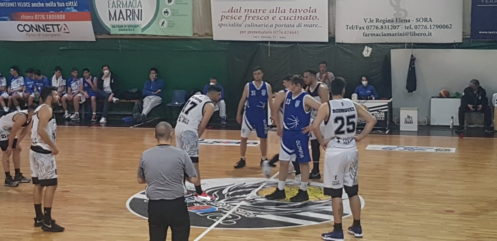 Pallacanestro sora