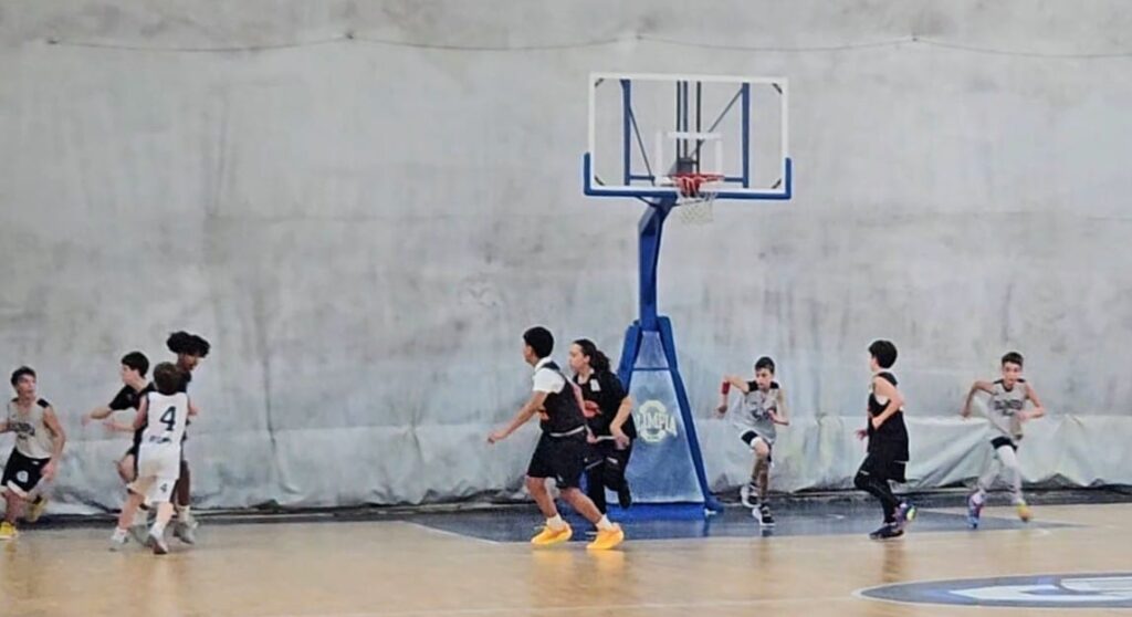 U13 S Olimpia Roma - Tiger Bk 51 - 33